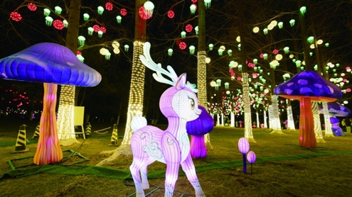 迎春花灯会迎来客流高峰期